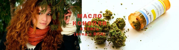 стаф Дмитров