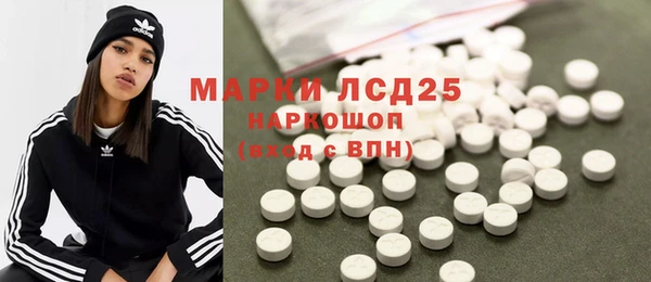 стаф Дмитров