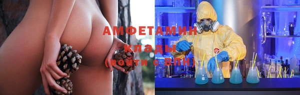 ГАЛЛЮЦИНОГЕННЫЕ ГРИБЫ Дмитровск