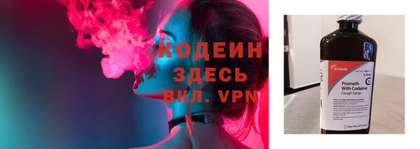 стаф Дмитров