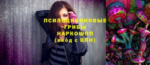 стаф Дмитров