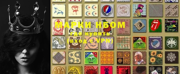 стаф Дмитров