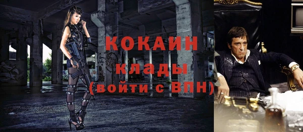 ГАЛЛЮЦИНОГЕННЫЕ ГРИБЫ Дмитровск
