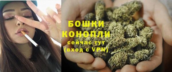 стаф Дмитров