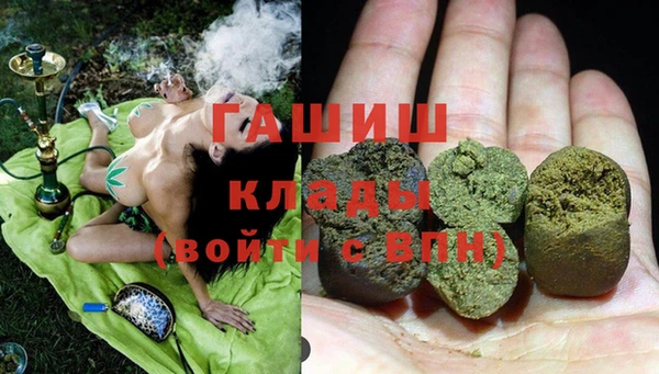 стаф Дмитров