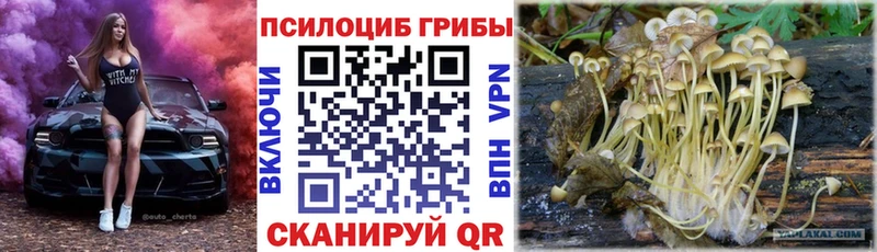 Купить где  Канск  Галлюциногенные грибы GOLDEN TEACHER 